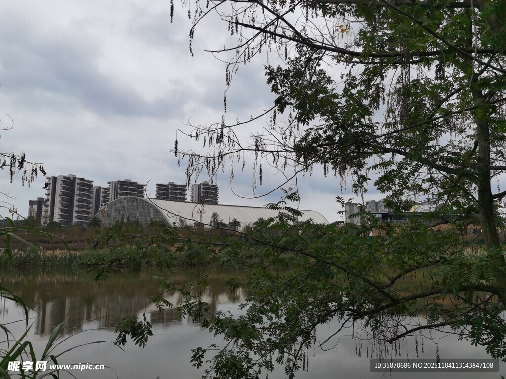 湖畔綠樹與遠處高樓景致