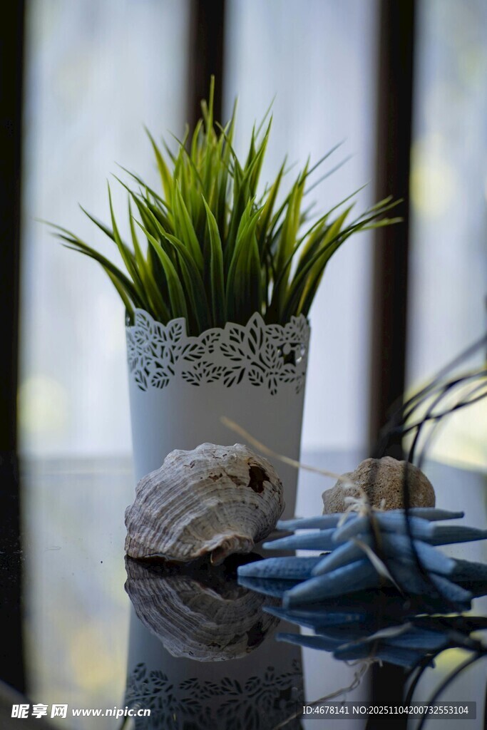 桌上綠植盆栽與配飾