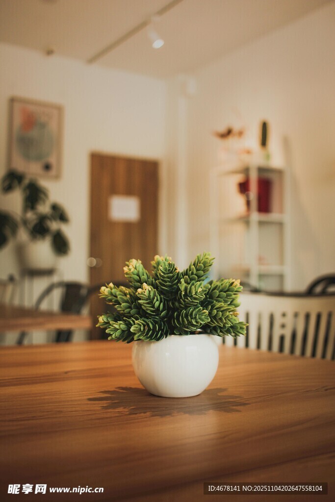 室內(nèi)木桌旁的綠植盆栽