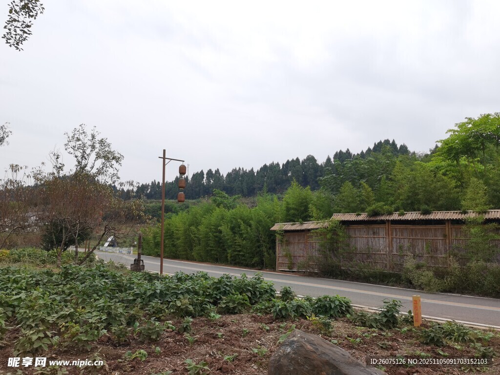 鄉(xiāng)村路邊的田園景致