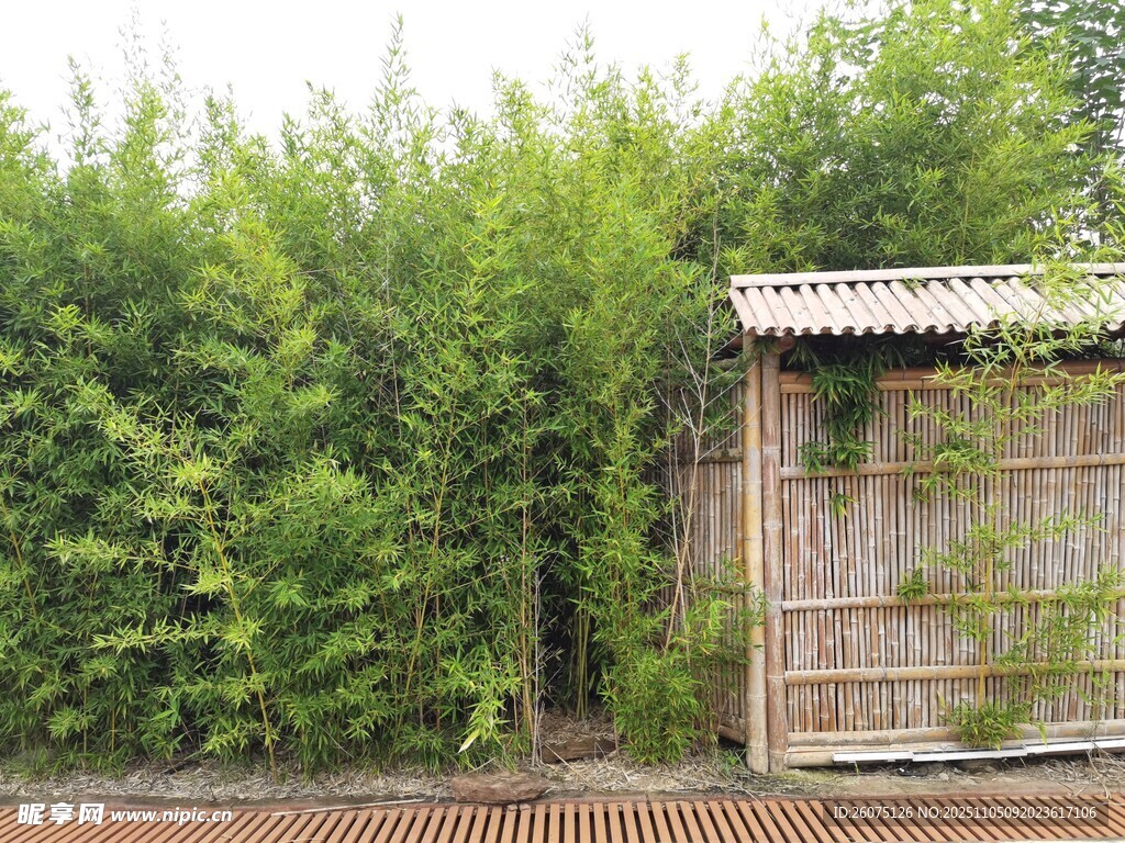 竹林旁的木質(zhì)小屋