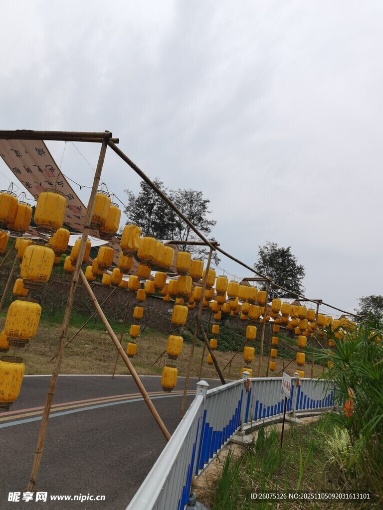 路旁懸掛的黃色燈籠景觀