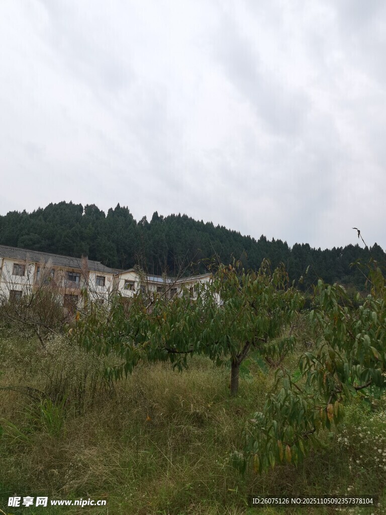 鄉(xiāng)村田野中的屋舍景觀