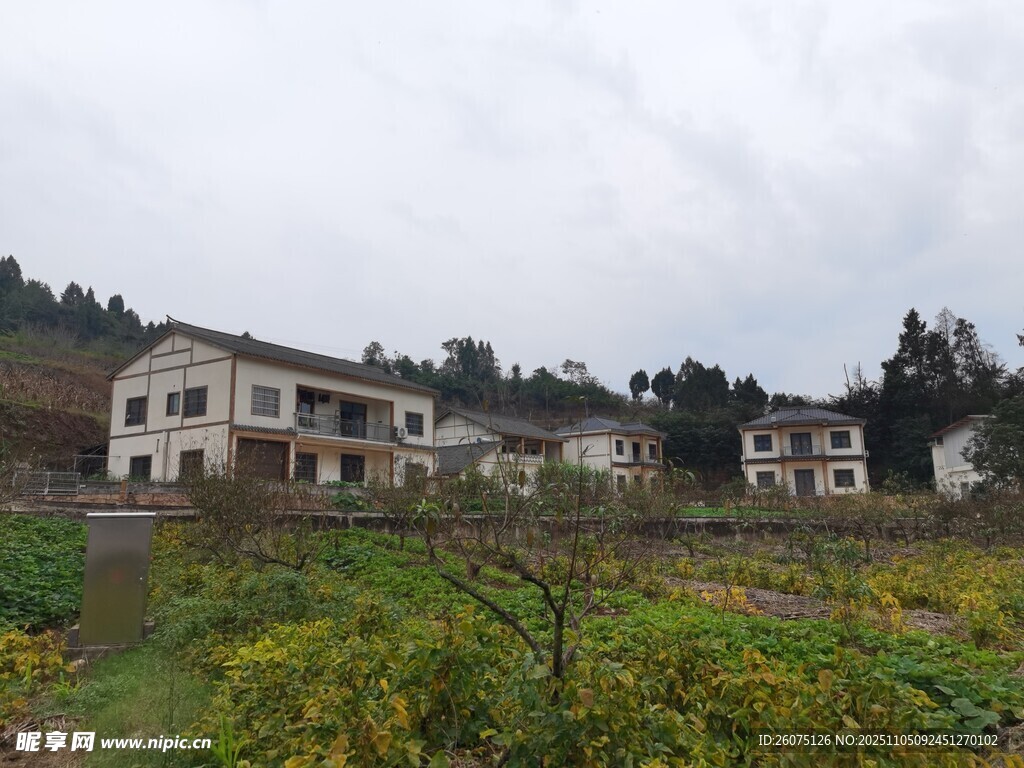 鄉(xiāng)村田園中的幾座房屋