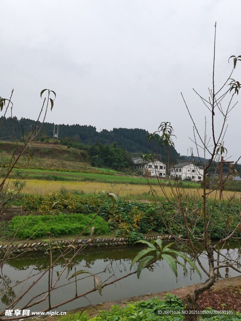 鄉(xiāng)村田園風(fēng)光景色