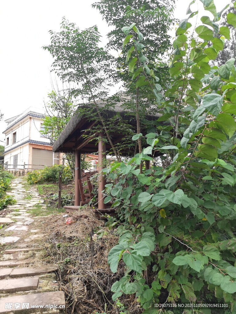 鄉(xiāng)村小徑旁的木質(zhì)小屋