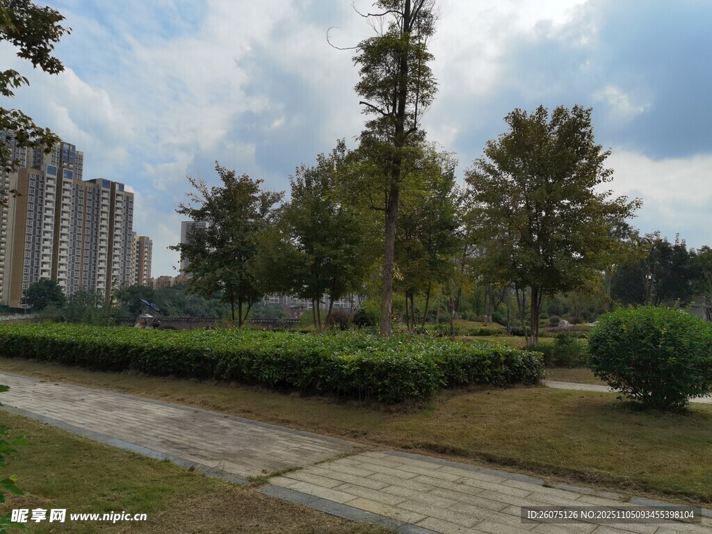 城市中的靜謐綠化景觀