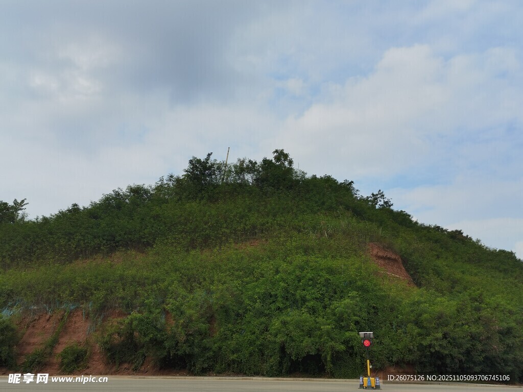 綠意盎然的山坡景觀