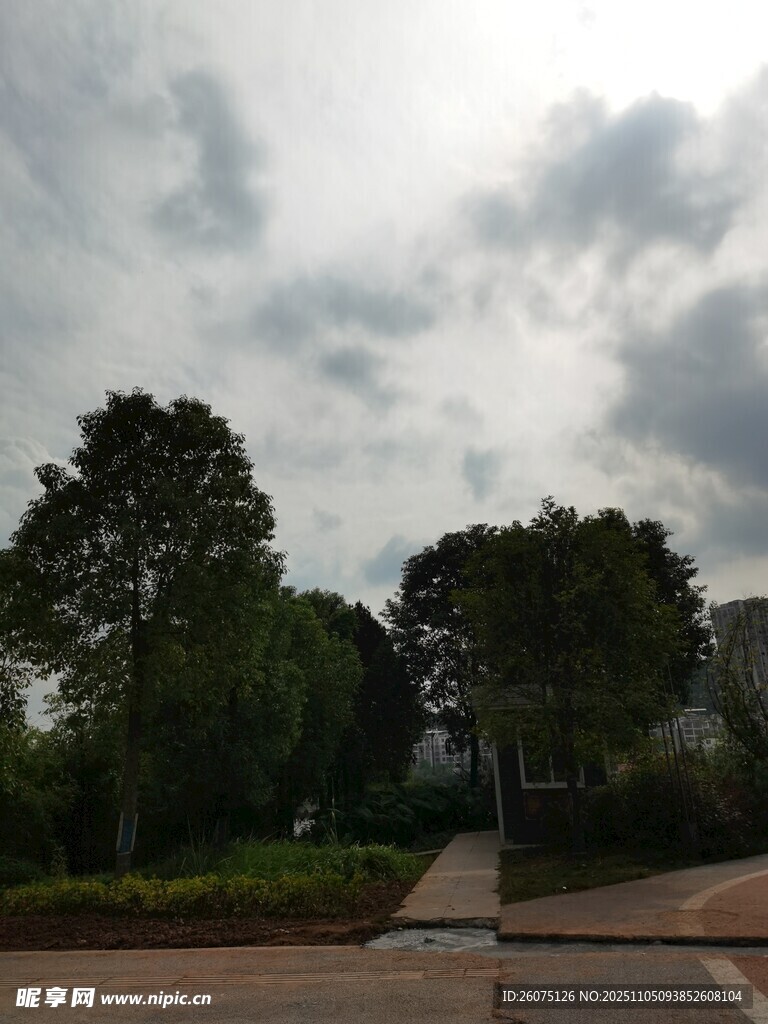 陰天公園景色