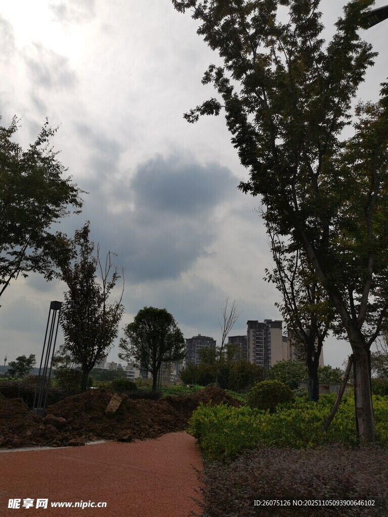 城市公園中的綠樹與步道