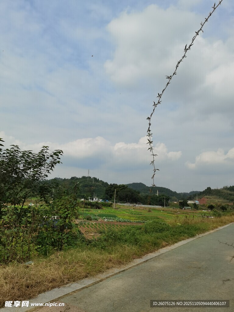 鄉(xiāng)村公路旁的開闊景致