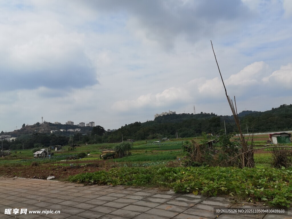 郊外道路旁的開闊風景