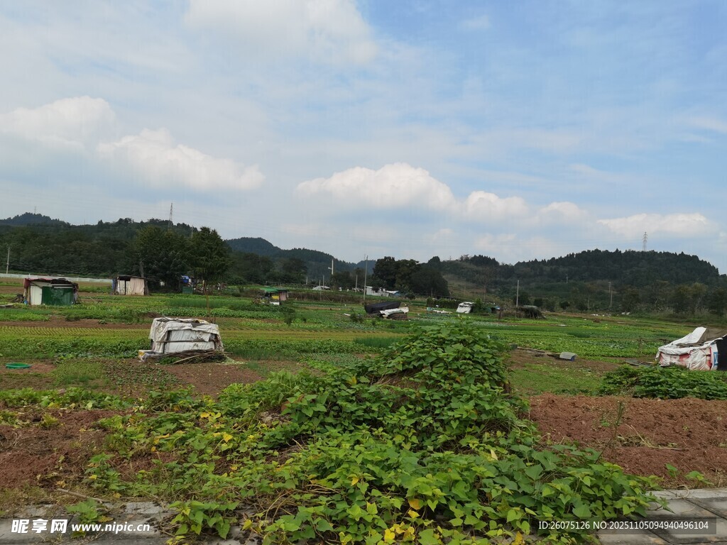 田園風(fēng)光中的綠植與遠(yuǎn)山
