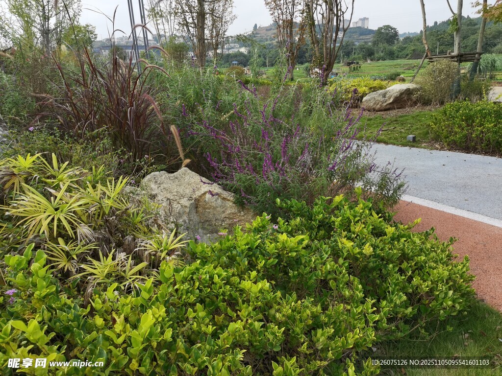 城市中的綠植景觀小徑