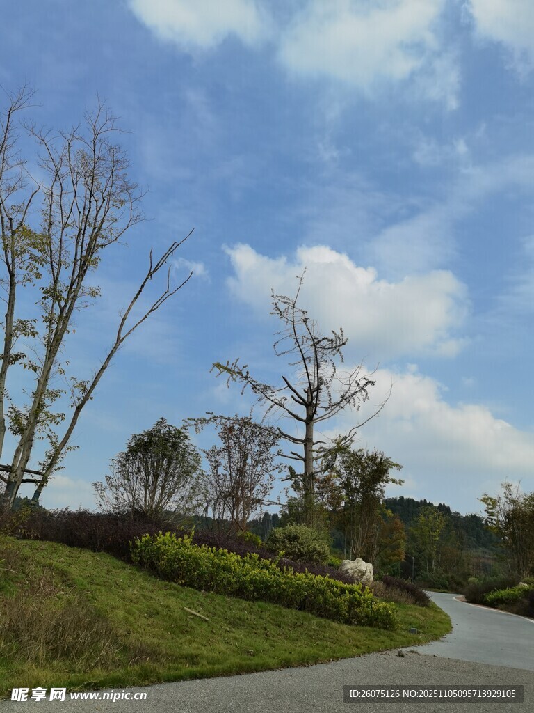 蜿蜒公路旁的自然景致