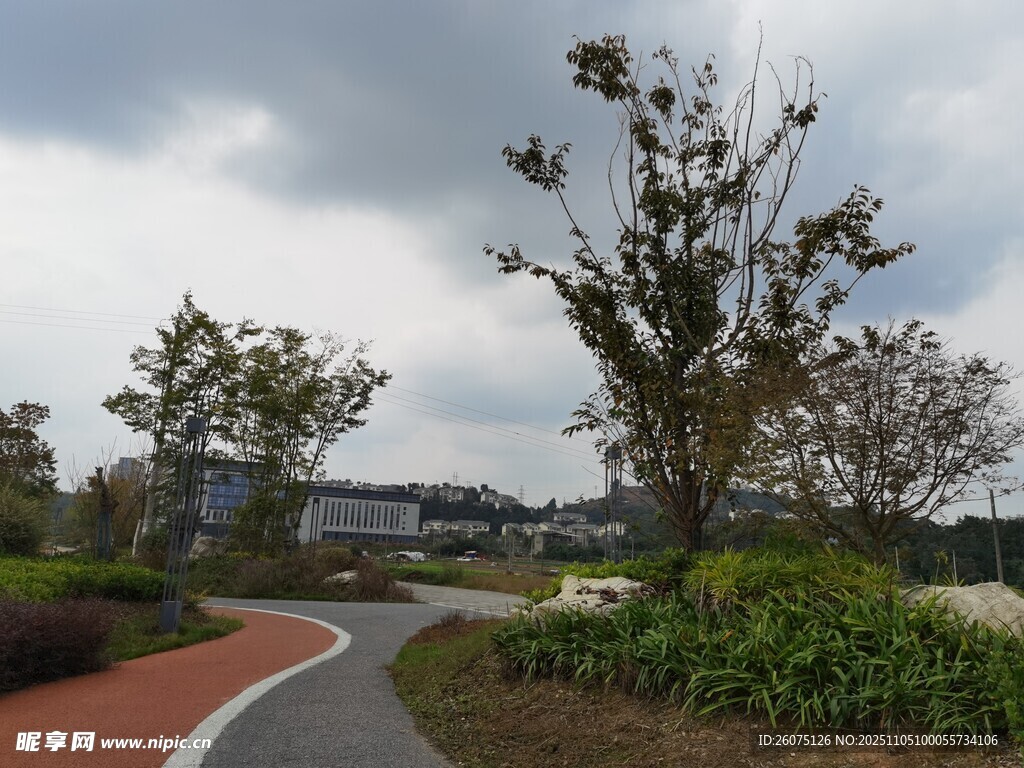 公園蜿蜒小徑與綠植景觀