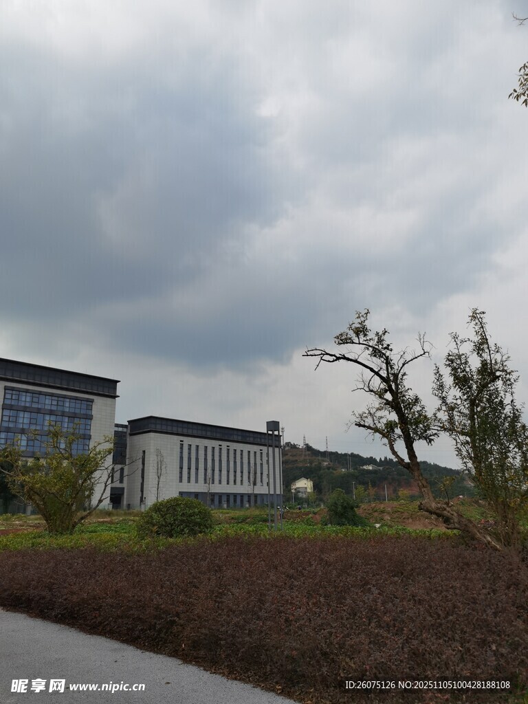 現(xiàn)代建筑旁的綠植景觀