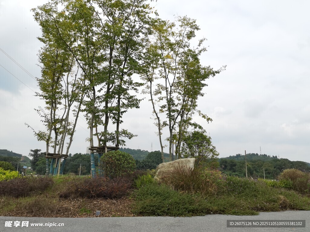 河畔綠樹成蔭的自然景致