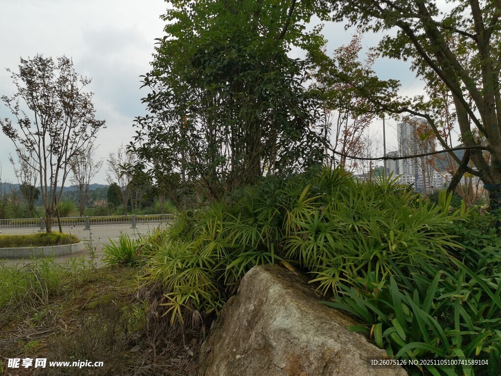 戶外綠植環(huán)繞的自然景致