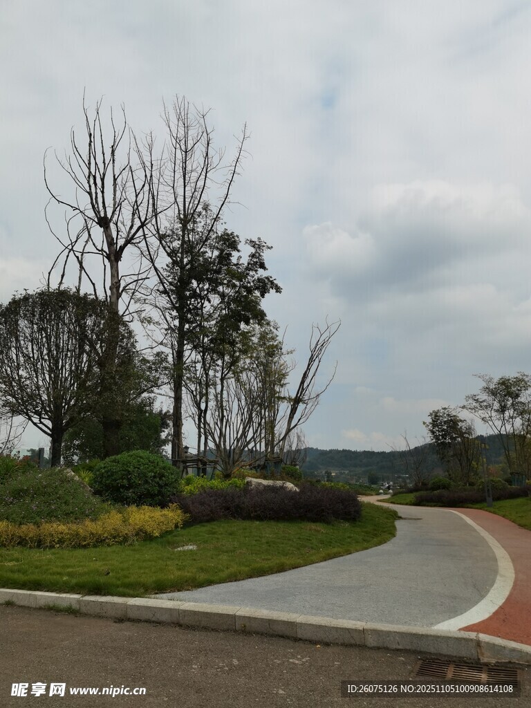 蜿蜒公路旁的自然景致