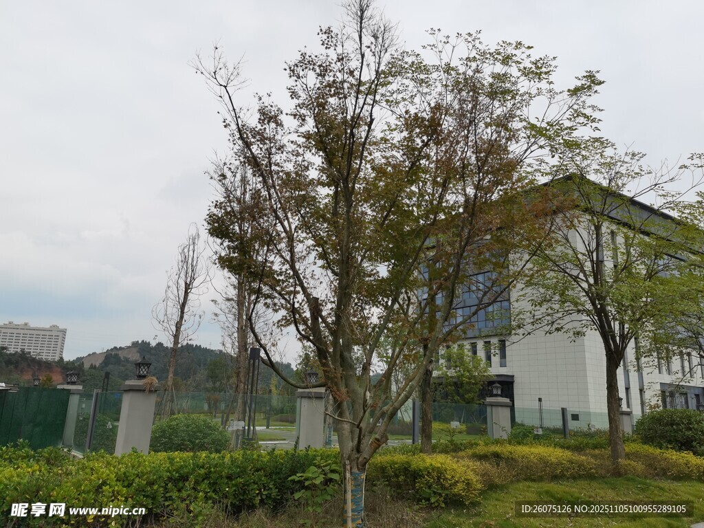 庭院綠樹環(huán)繞的清新建筑