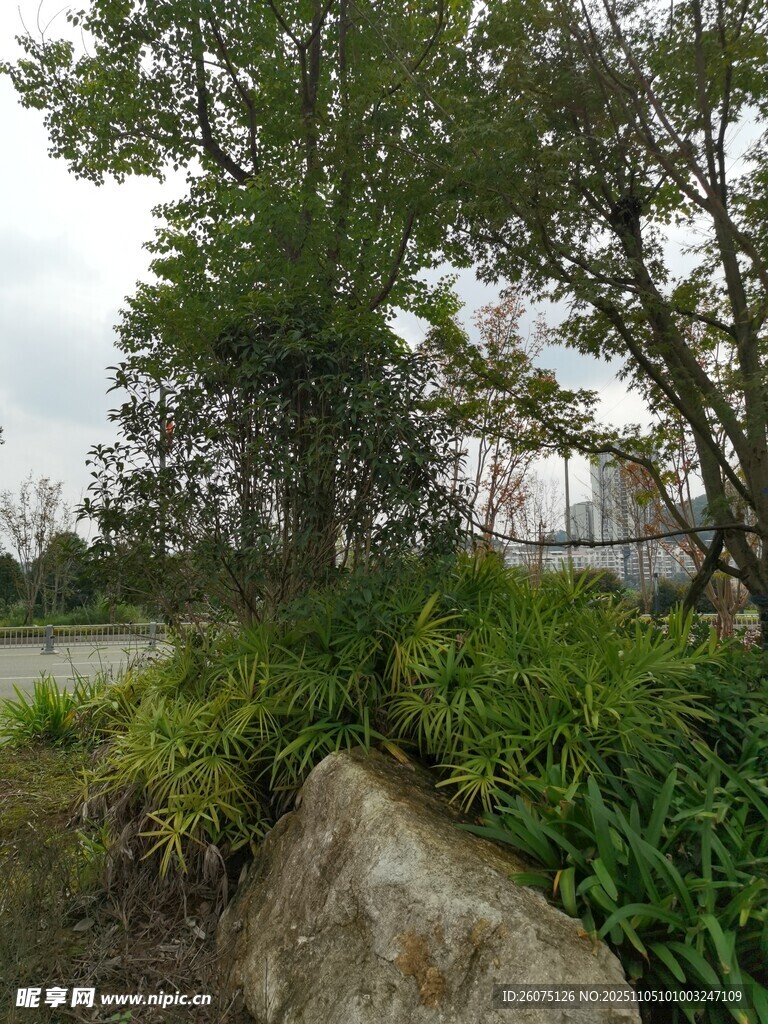 戶外綠植與大石景觀