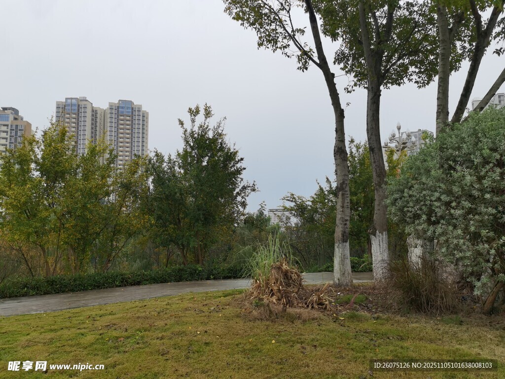 城市公園綠樹草地景觀