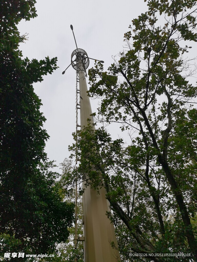 高聳通信塔隱于綠樹間