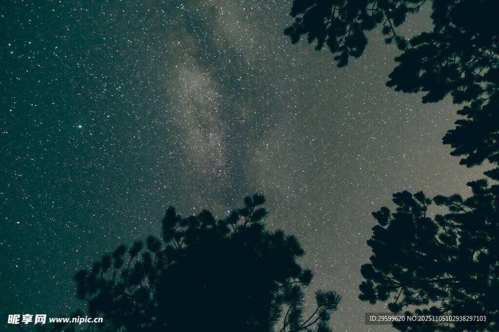 夜空下的樹木與璀璨星河
