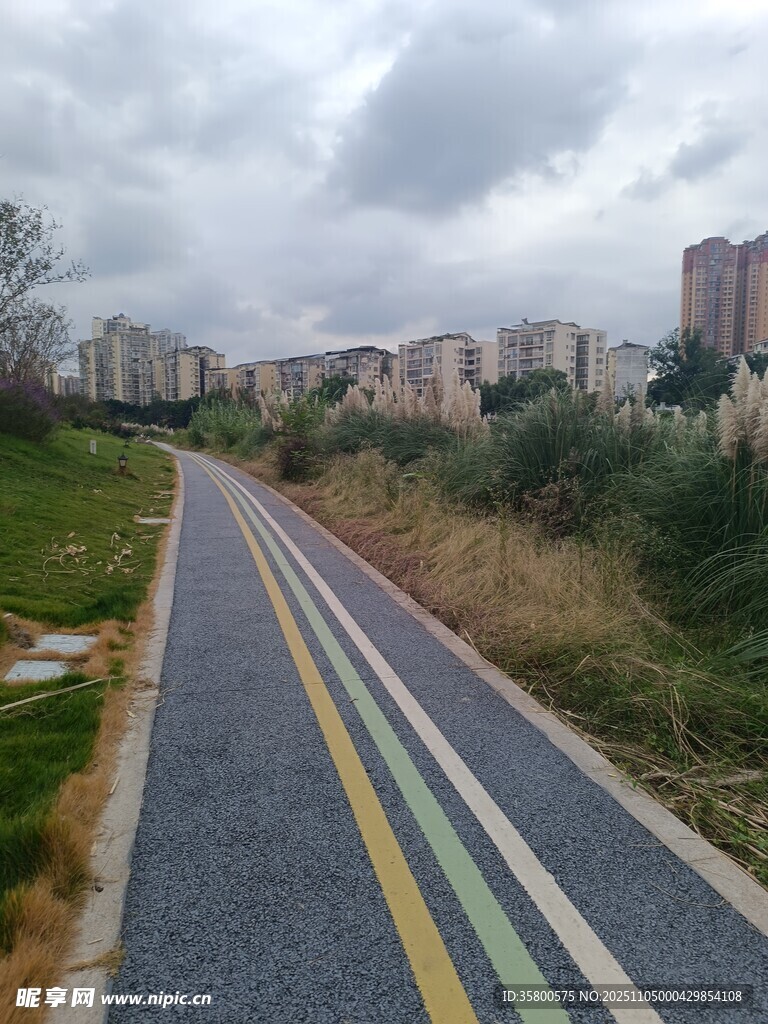 城市中的多彩騎行步道