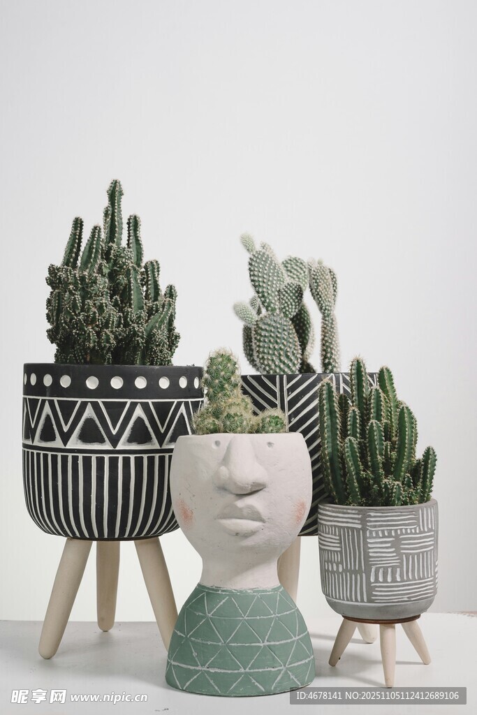 創(chuàng)意綠植與藝術(shù)頭像擺件