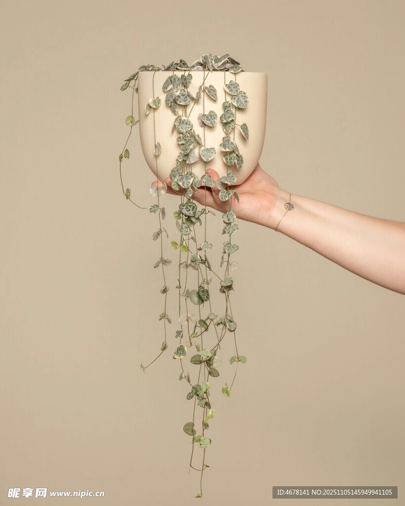 手捧垂蔓綠植花盆