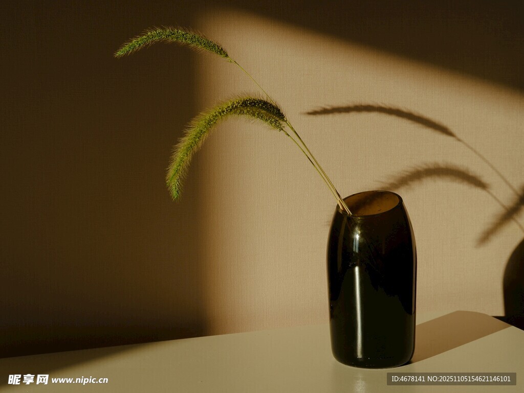 簡約花瓶中的綠植