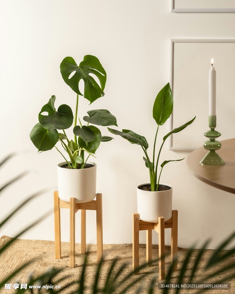 室內(nèi)綠植裝飾清新小景