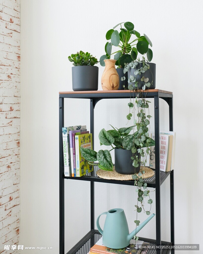 鐵藝架上的多彩綠植組合