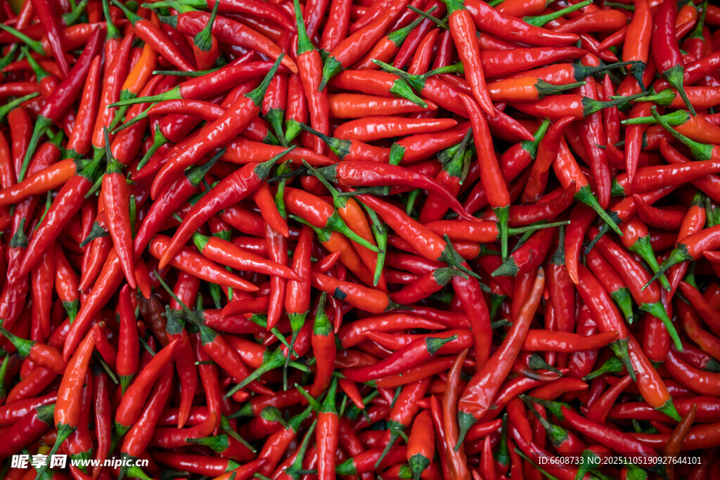 紅辣椒堆疊特寫