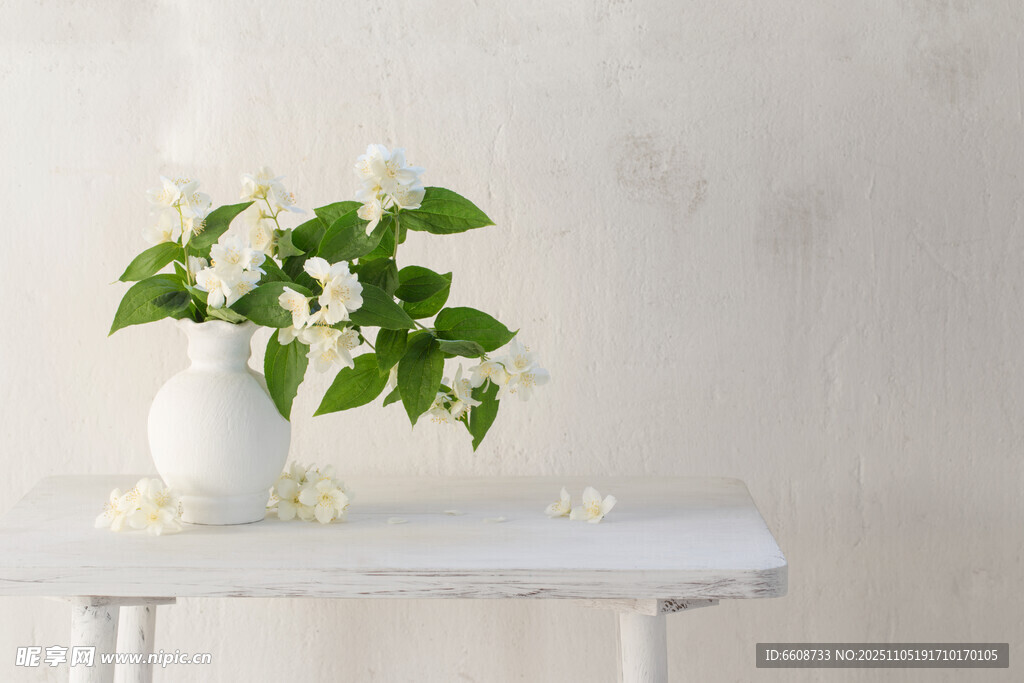 白色花瓶中的清新花卉