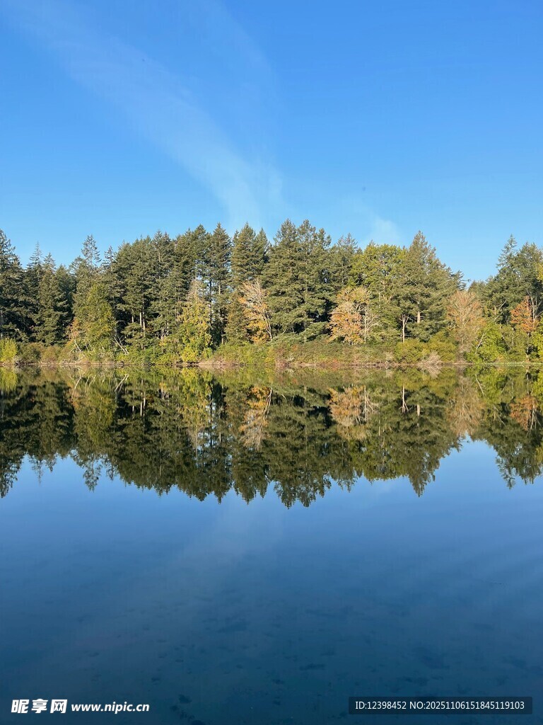 寧?kù)o湖畔森林倒影美景
