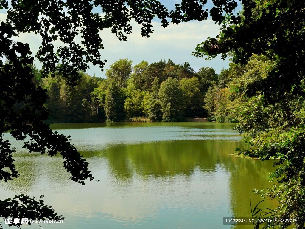 湖畔綠樹環(huán)繞的靜謐風光