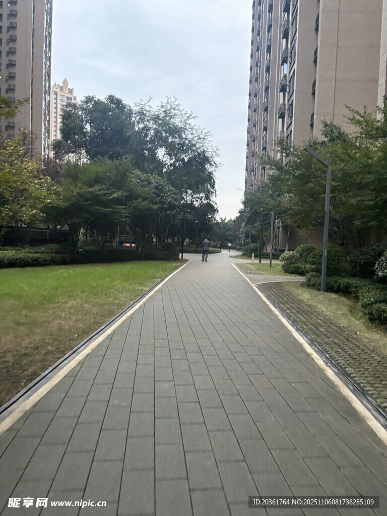 城市中的寧?kù)o林蔭步道