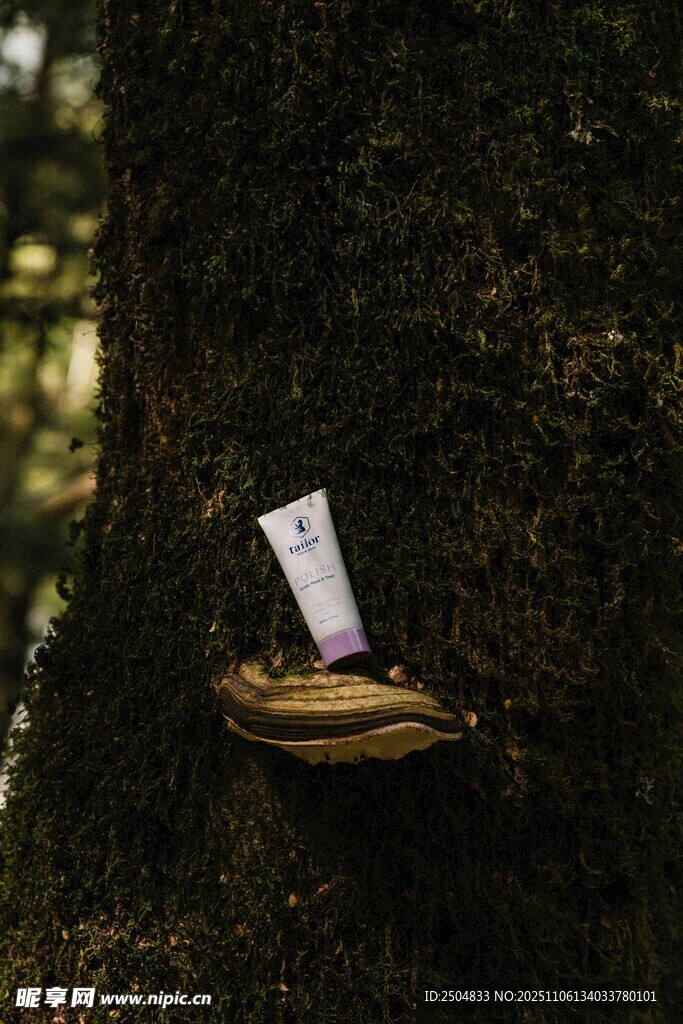 樹干上的蘑菇與白色標(biāo)牌