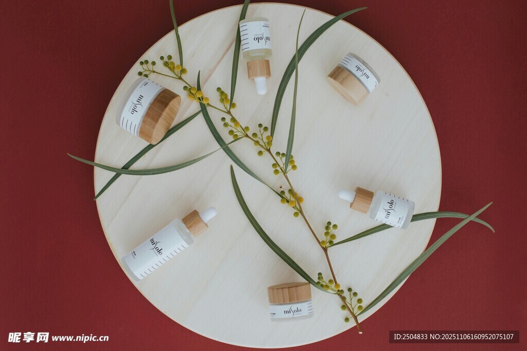 圓形盤飾中的綠植花卉