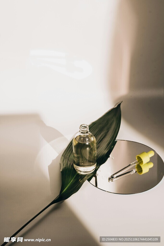 精致綠葉上的小巧花朵