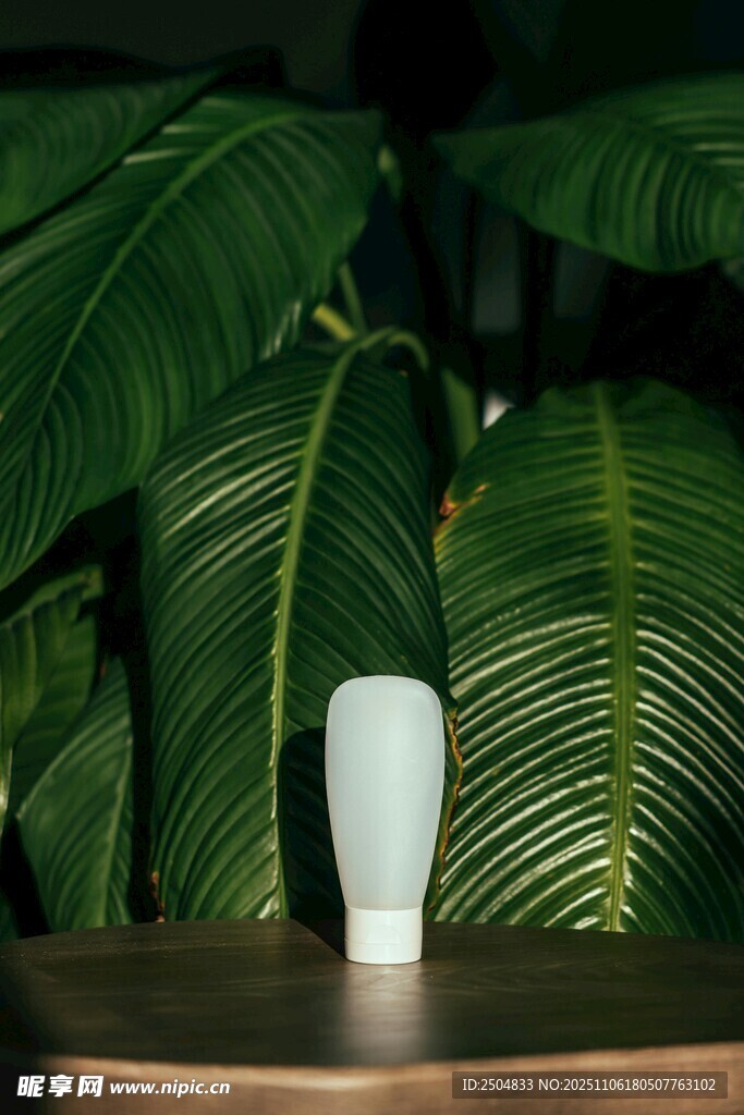 綠植旁的簡約白色容器