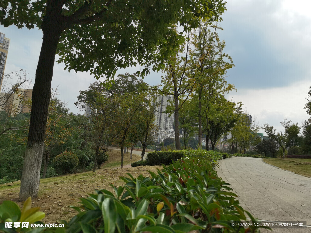 秋日林蔭小道風(fēng)景