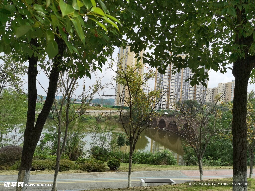 城市中的綠意公園景觀