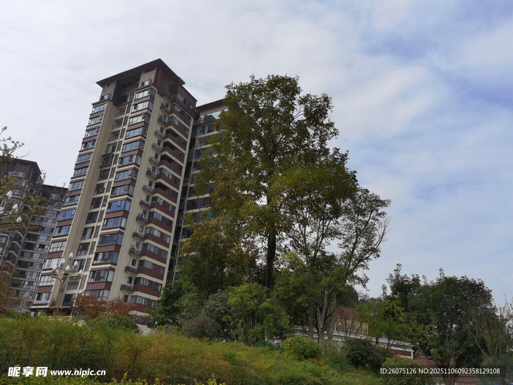 高層住宅旁的綠植景觀