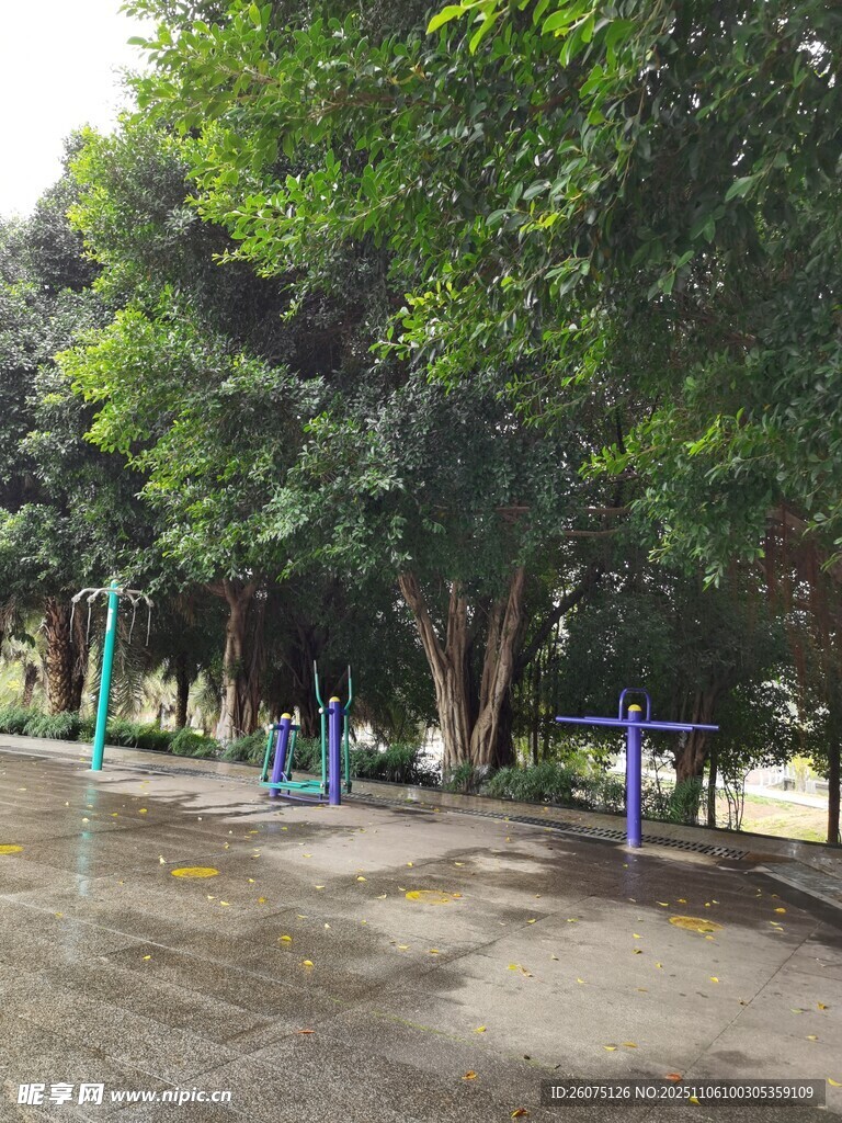 公園綠樹環(huán)繞的休閑場地