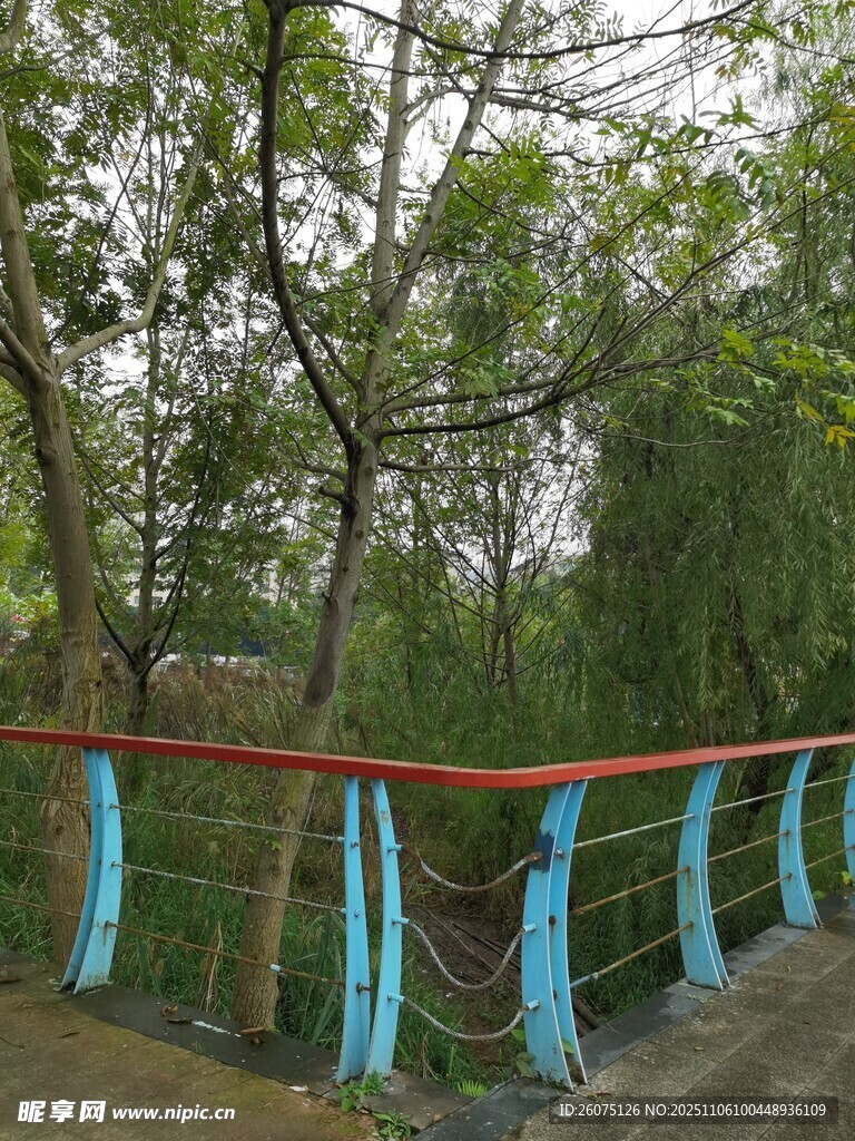 林間彩欄橋自然好風(fēng)光