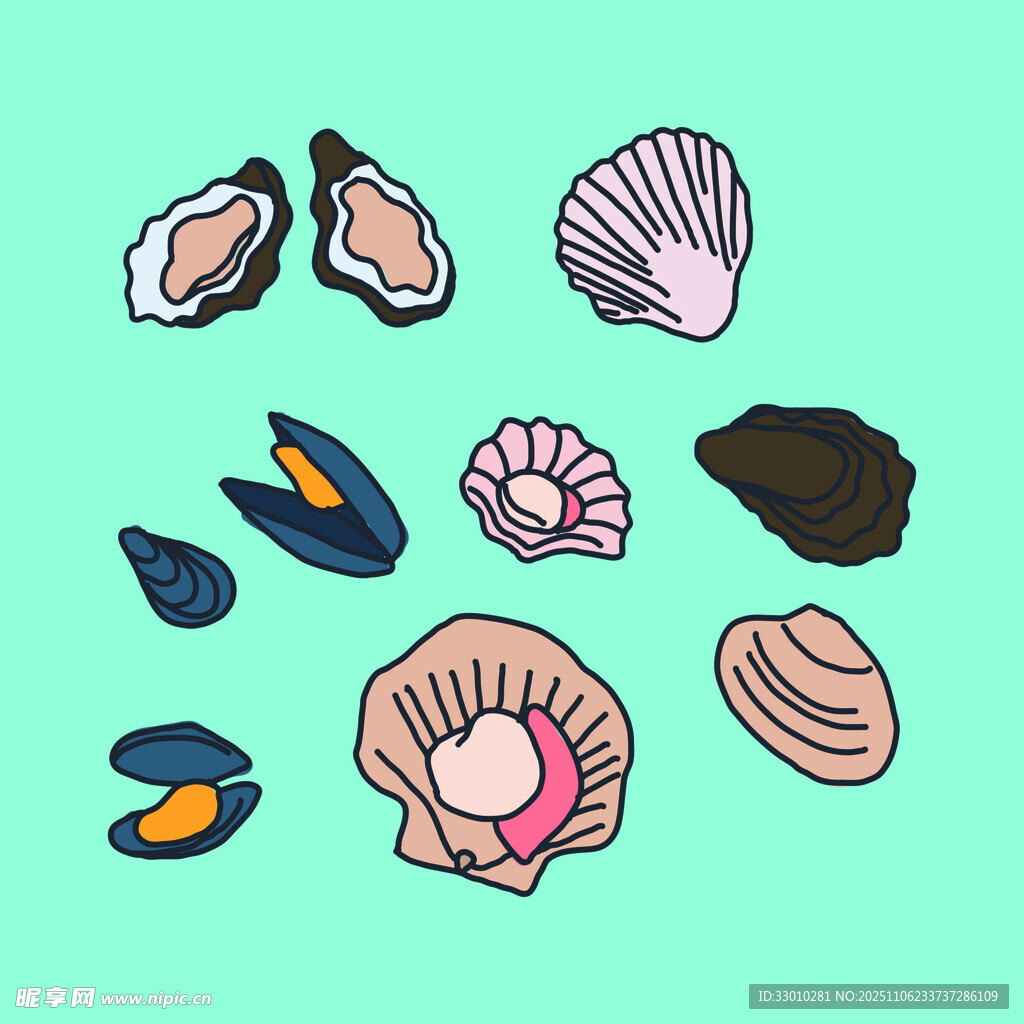 多彩貝殼與貝類插畫